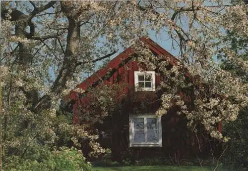 unbekannter Ort - Holzhaus