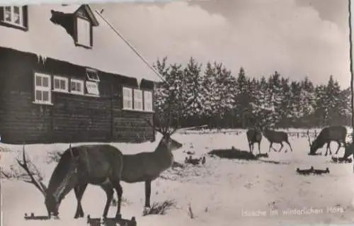 Bad Harzburg - Marienteichbaude - ca. 1955