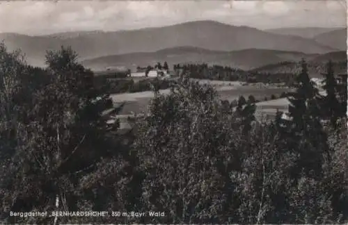 Sankt Englmar - Bernhardshöhe