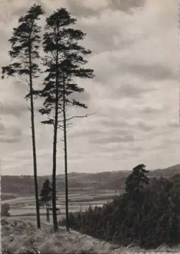 Fröhliche Pfingsten - ca. 1965