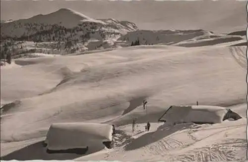 Reit im Winkl, Winklmoos - Möser-Alm - 1954