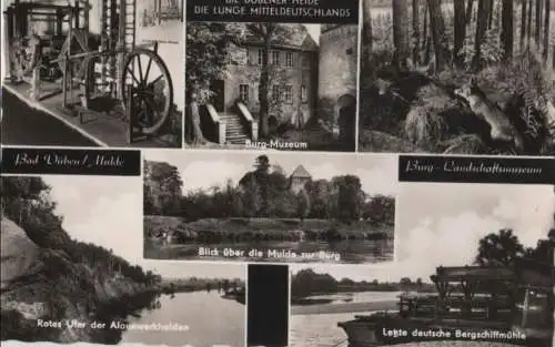 Dübener Heide - Bad Düben - 1967