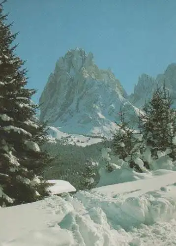 Italien - Italien - Motiv Seiseralm - Langkofel - 1990