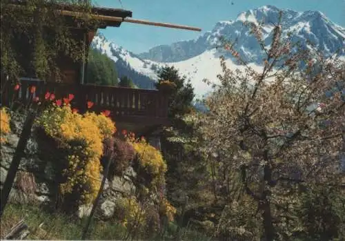 Schweiz - Schweiz - Caux - mit Rochers-de-Naye - ca. 1980