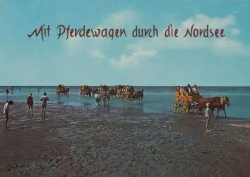 Nordsee - auf Pferdewagen - ca. 1980