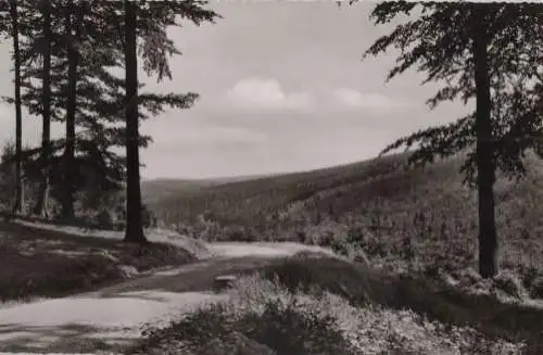 Holzminden-Neuhaus - Sollinglandschaft