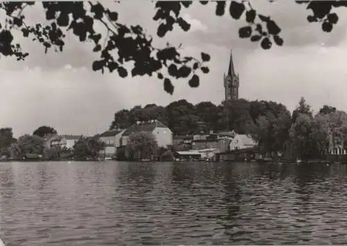 Feldberg, Feldberger Seenlandschaft - Abendstimmung - 1981