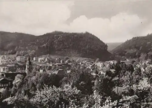 Friedrichroda - Blick zum Gottlob - 1977