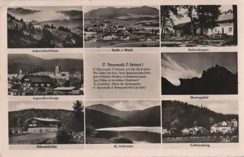 Bayerischer Wald - u.a. Gibachthütte - 1954