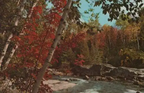 USA - USA - Arindock - Blue Ridge Falls - 1973