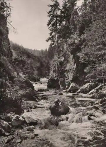 Wutach - Schlucht beim Räuberschlößle - 1969