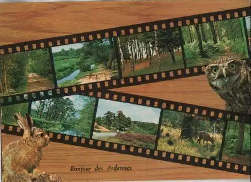 Belgien - Belgien - Ardennen - 8 Teilbilder - 1975