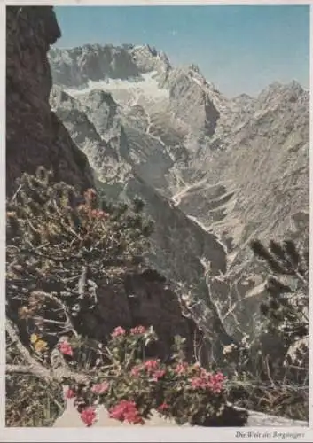 Die Welt des Bergsteigers - ca. 1955