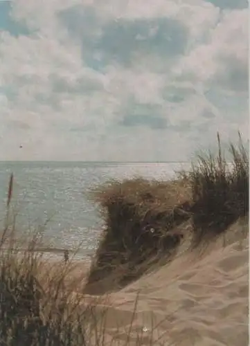 Dünen am Meer - 1973