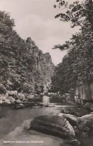 Bodetal - Partie am Waldkater - 1961