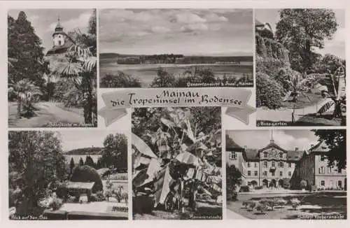 Mainau - u.a. Bananenstaude - ca. 1955