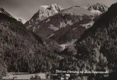 Österreich - Österreich - Schnepfau-Schnepfegg - Blick auf Au - ca. 1960