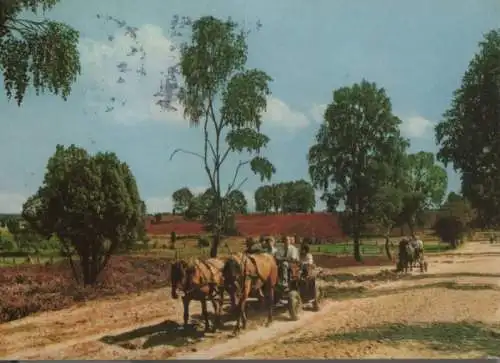 Lüneburger Heide - 1984