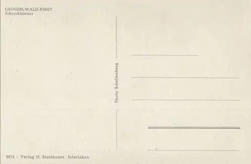 Schweiz - Grindelwald - Schweiz - First - Schreckhörner