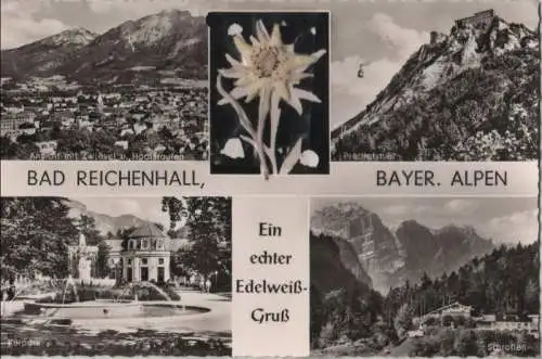 Bad Reichenhall - Edelweiß-Gruß - ca. 1960