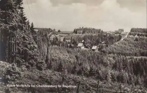 Altenberg-Oberbärenburg - Waldidylle