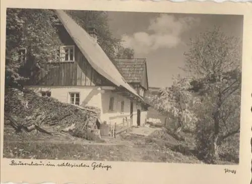 Schlesien (Sonstiges) - Bauernhaus im Gebirge