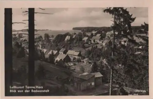 Tanne - Blick von der Badeanstalt - 1960