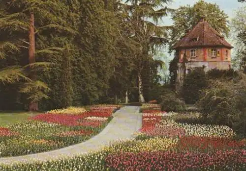 Mainau - Tulpen beim Wehrturm - ca. 1975