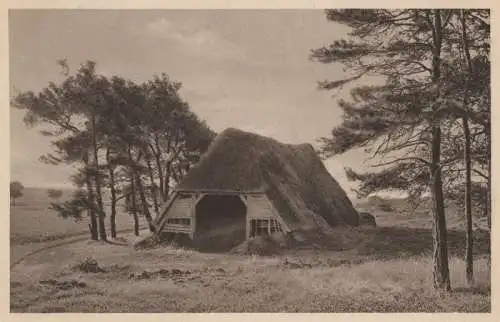 Lüneburger Heide - Alter Schafstall