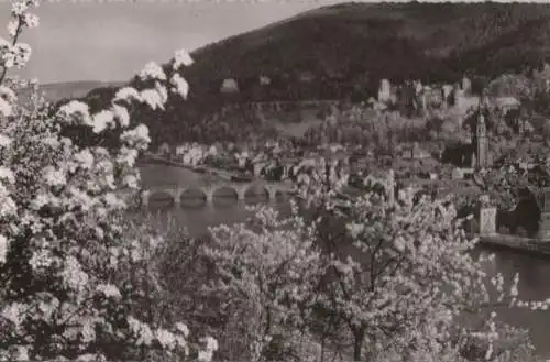 Heidelberg - Im Blütenzauber - 1959