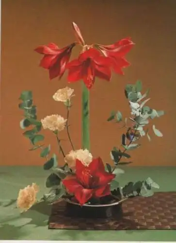 Amaryllis mit Nelken Arrangement