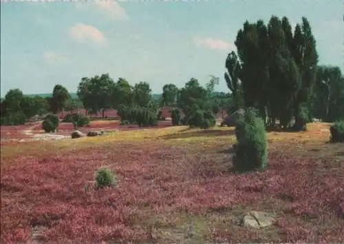 Heidelandschaft - ca. 1975