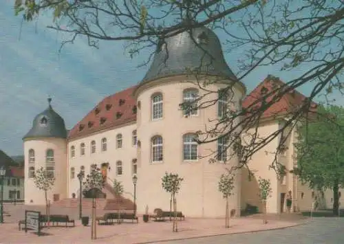 Das Schloß zu Bad Bergzabern - ca. 1985