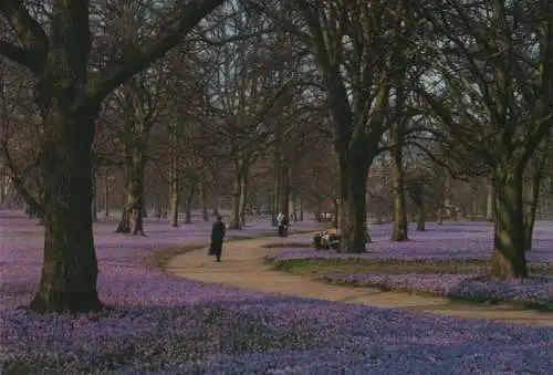 Husum - Krokusblüte im Schloßpark - ca. 2000