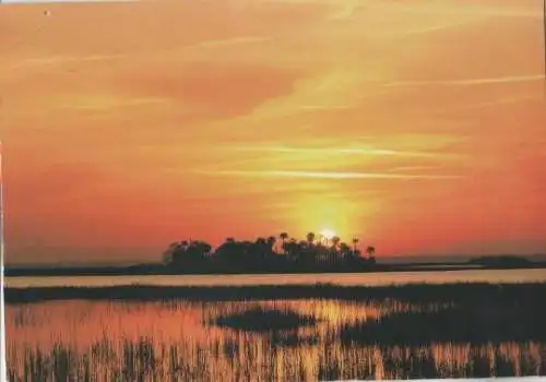 USA - USA, South Carolina - Beaufort County - ca. 1985