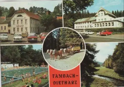 Tambach-Dietharz - u.a. Kutschfahrt im Thüringer Wald - 1986