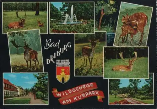 Bad Driburg - Wildgehege am Kurpark - ca. 1975