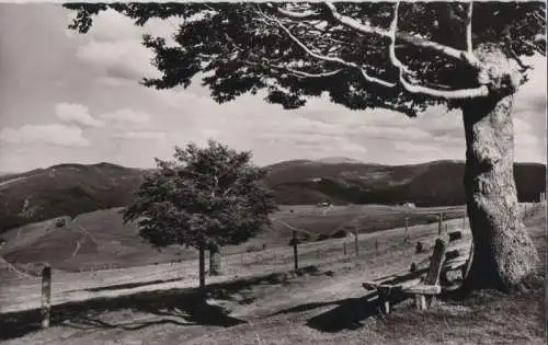 Schauinsland - Blick zum Feldberg - ca. 1960