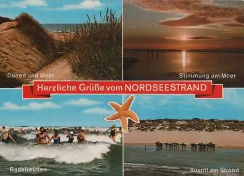 Nordsee - u.a. Dünen und Meer - 1993