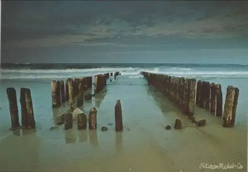 Holzpfosten am Strand