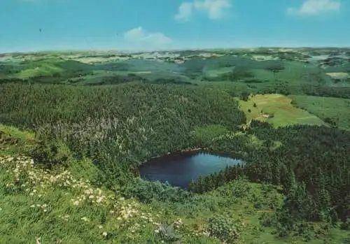 Feldsee - Hochschwarzwald - ca. 1975