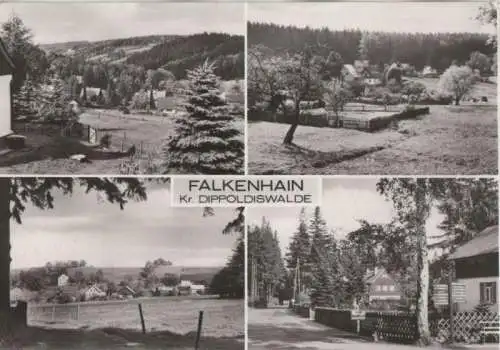 Falkenhain - mit 4 Bildern - 1981