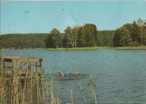 Schwimmer im See - ca. 1985