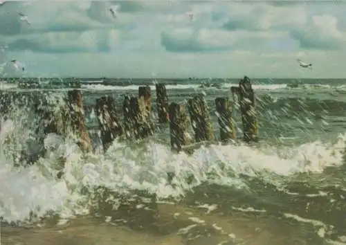 Am Meer - ca. 1970