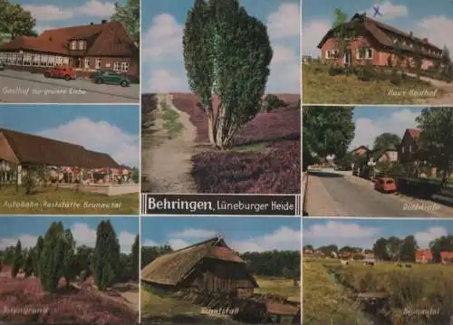 Bispingen-Behringen - u.a. Totengrund - 1967