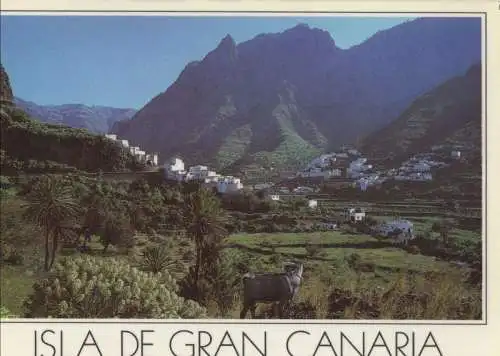 Spanien - Gran Canaria - Spanien - Valle de Agaete