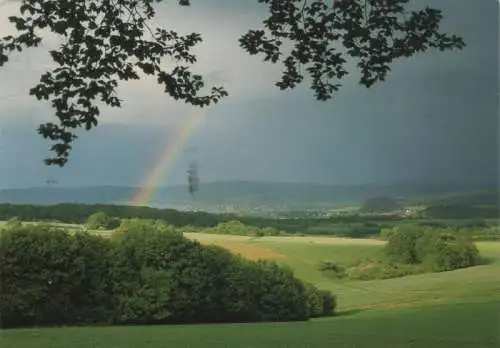 Regenbogen in Grünen