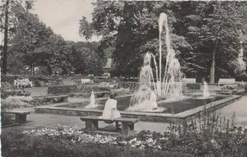 Bad Driburg - Partie im Kurpark - ca. 1955