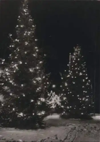 Königsberg - Weihnachtstannen auf Münzplatz - 1971