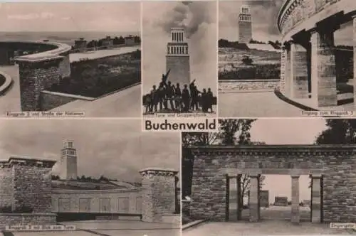 Buchenwald - 5 Bilder